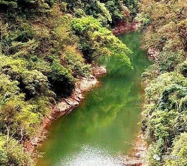 救援鹦鹉